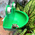 Frog Habitat with Suction Cup, 2 Pcs Cute Fish Tank Accessories for Tree Frog Toad Tadpole Decor