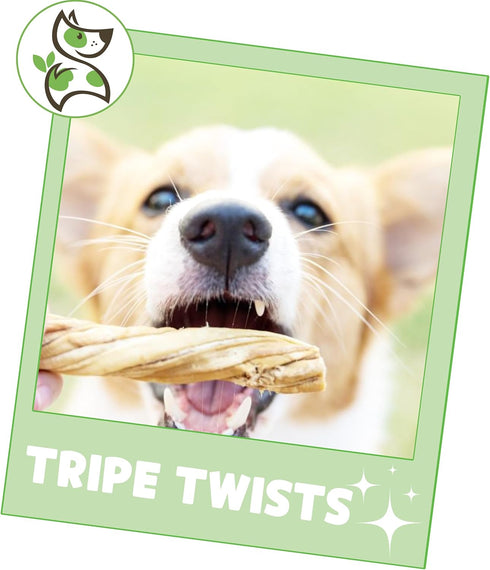 Nature Gnaws Tripe Twists for Dogs, 4-5" (10 Count) - Crunchy Grain Free Natural Beef Dog Chew Treats