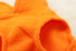 DroolingDog Girl Dog Fleece Vest, Warm Pet Clothes for Small Dogs, Large, Orange Cat Shirts