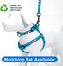 Pawtitas 6 FT Recycled Dog Leash with Reflective Stitched Thread, Small Reflective Dog Leash, Teal