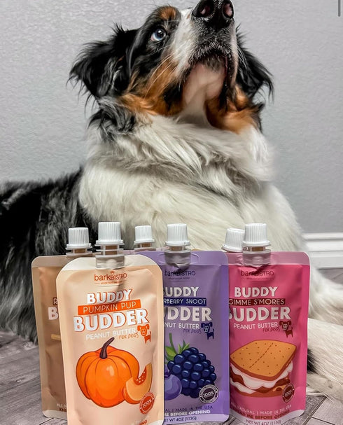 BUDDY BUDDER 3 Pack Pumpkin Pup Squeeze Packs, 100% Natural Dog Peanut Butter, Healthy Treats, Made in USA