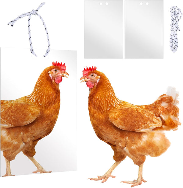 BOUTICOL Large Chicken Mirror Toys Acrylic Hanging Swing Mirror for Hens Birds Parrots7.8inch*11.8inch