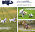 Dog Harness and Leash Set, XS No Pull Adjustable Puppy Harness with Denim Blue Leash and Collar for Small Dogs