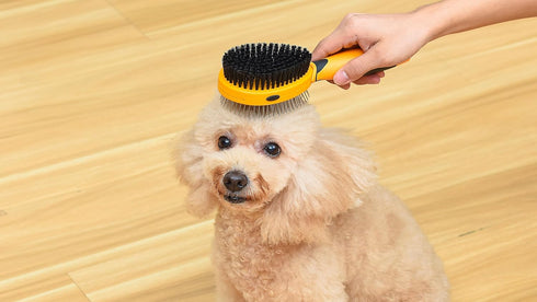 Wags & Wiggles Double Sided Dog Brush - Efficient Grooming for Long or Short Haired Dogs & Cats, Shedding Brush &