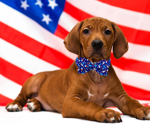 Lionheart Glory American Flag Dog Collar, Heavy Duty Adjustable Patriotic Bowtie Collar for Large Dogs