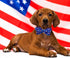 Lionheart Glory American Flag Dog Collar, Heavy Duty Adjustable Patriotic Bowtie Collar for Large Dogs