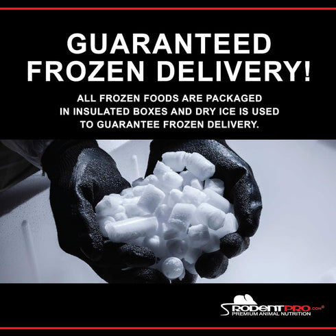 Rodentpro.com Frozen (3 Count) RodentPro Reptile Feeder Extra-Large Rats