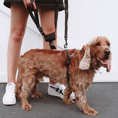 EzyDog Crosscheck Harness - Dog Training No Pull Harness, Escape Proof, Reflective, Comfortable Fit (S, Blue)