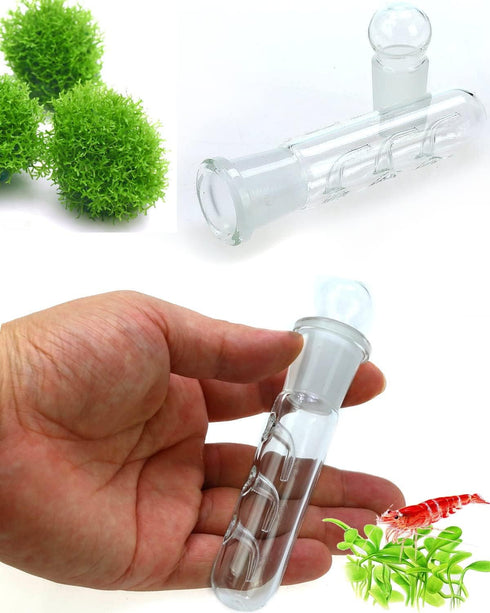 Planaria Trap Crystal Red Shrimp Tank Aquarium Bristle Worm Catcher, Clear Glass Leeches Catching Tube (3 Holes)