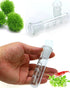 Planaria Trap Crystal Red Shrimp Tank Aquarium Bristle Worm Catcher, Clear Glass Leeches Catching Tube (3 Holes)