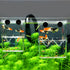 Petzilla In-Tank Aquarium Breeder Box, Breeding Incubator for Small Fish, Acrylic Divider for Shrimp & Clownfish