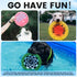 HOWGO Flyer Dog Toy, Lightweight Durable Flying Disc, Best for Flight, 9.84'' (Pink)