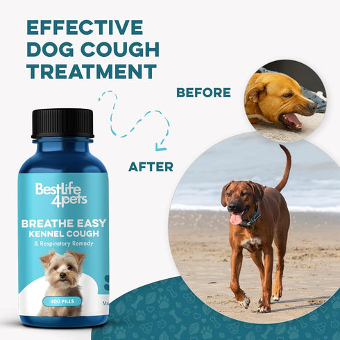 Kennel Cough Treatment & Dog Nasal Congestion Relief, Natural Dog Cough Suppressant, 400 Small Pills
