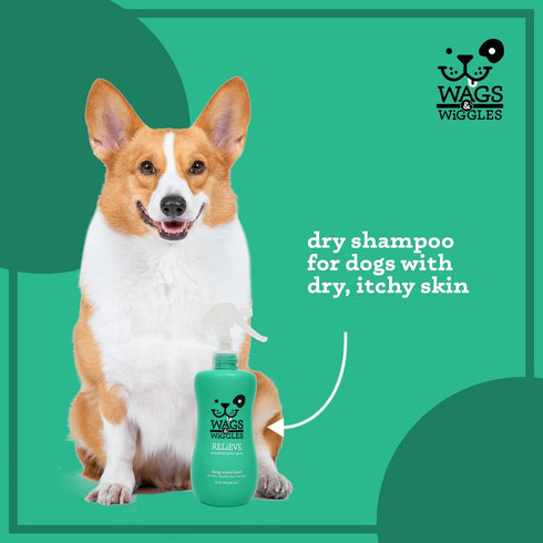 Wags & Wiggles 12 Oz Relieve Dog Anti-Itch Spray, Kiwi Scent - Waterless Dry Shampoo for Dogs With Dry, Itchy