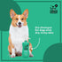 Wags & Wiggles 12 Oz Relieve Dog Anti-Itch Spray, Kiwi Scent - Waterless Dry Shampoo for Dogs With Dry, Itchy