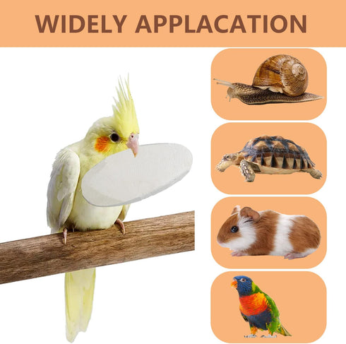 Jmxu's Cuttlebone for Birds - Natural Bird Calcium for Parakeet Cuddle Bone for Cockatiels, 4.5 to 5.5 inch