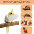 Jmxu's Cuttlebone for Birds - Natural Bird Calcium for Parakeet Cuddle Bone for Cockatiels, 4.5 to 5.5 inch