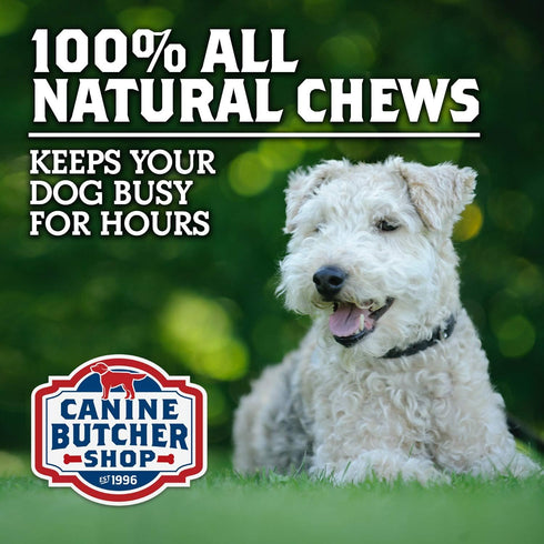 Beef Rawhide Chips for Dogs - Single-Ingredient USA Rawhide Chews (3 lb), All-Natural Collagen