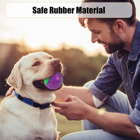 Dog Balls, 4-Pack Squeaky Balls for Large and Medium Dogs, Interactive Toys for Play and Training, 2.5 Inch