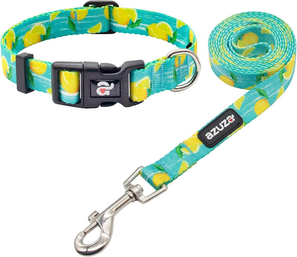 azuza Dog Collar and Leash Set, Lemon Patterns on Blue Nylon Collar and Matching Leash for Large Dogs
