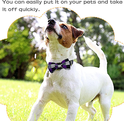 PET SHOW Pet Small Dogs Collar Attachment, Bow Ties for Puppies & Cats, Accessories for Parties