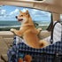 COZEER 35lbs, 4-Pocket Dog Car Seat for Small/Medium Dogs up to Storage Memory Foam Dog Booster Seat, Detachable