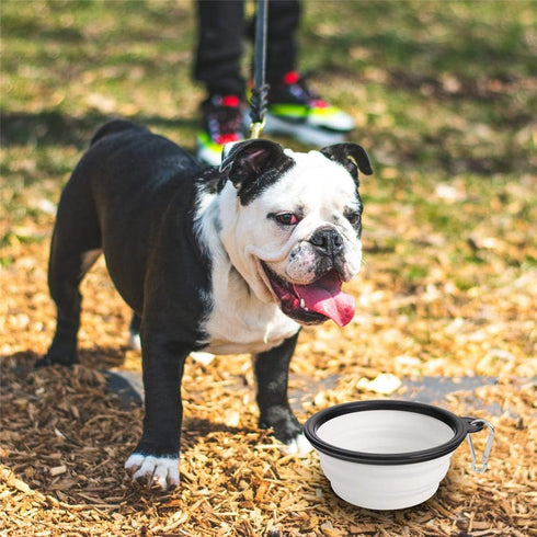 Dog Bowl Pet Collapsible Bowls, 2 Pack Portable Foldable Travel Bowls for Dogs Cats and Small Animals