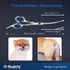 6 1 Dog Grooming Scissors Kit with Safety Round Tips, GLADOG Professional in Grooming Scissors for Dogs, Sharp