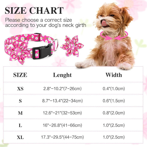 BiPawTi Medium Dog Collar, Pink Flower with Bloom Decoration, Soft Floral Girly Collar for Summer Dogs (M)