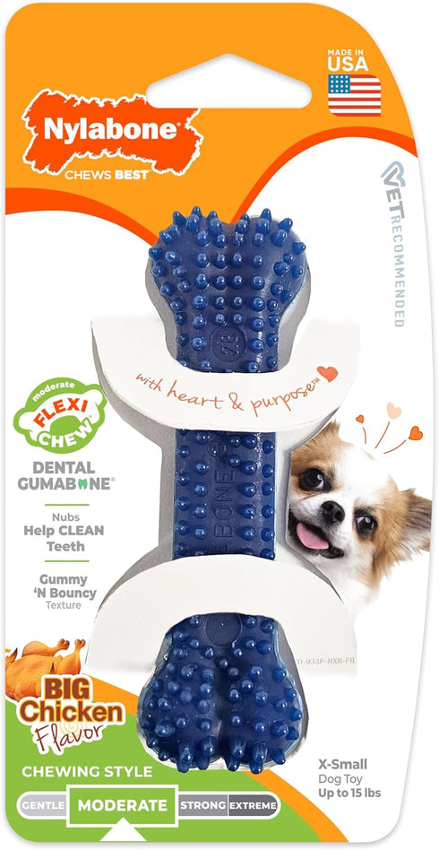 15 lbs, 1 Count Nylabone Textured Dental Bone Flexi Chew Toy for Dogs, Dog Toys for Moderate Chewers, Chicken Flavor