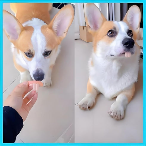 Tiosen 2Pcs Funny Dog Silicone Dentures, Dog Toys,Funny Teeth Braces, Dog Christmas Costume Suitable Dog Chew Toys Pet