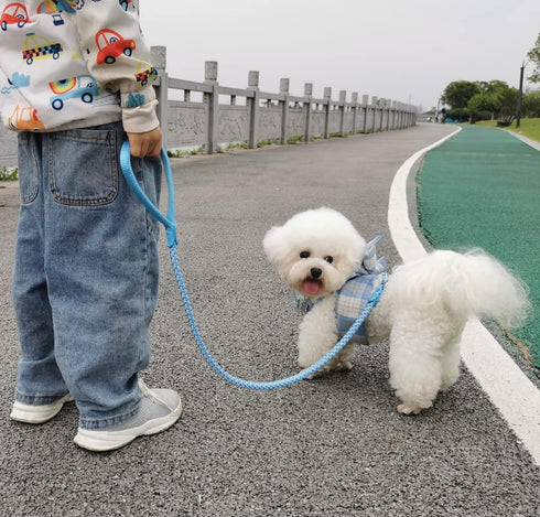 Rope Dog Leash - 2/3/4/6/10 Foot Reflective Heavy Duty Nylon Braided Training Leash for Large Medium Small Dogs (Sky