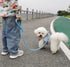 Rope Dog Leash - 2/3/4/6/10 Foot Reflective Heavy Duty Nylon Braided Training Leash for Large Medium Small Dogs (Sky