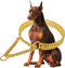 Gold Dog Chain Collar - Adjustable Stainless Steel 18K Cuban Link for Large, Medium, Small Dogs