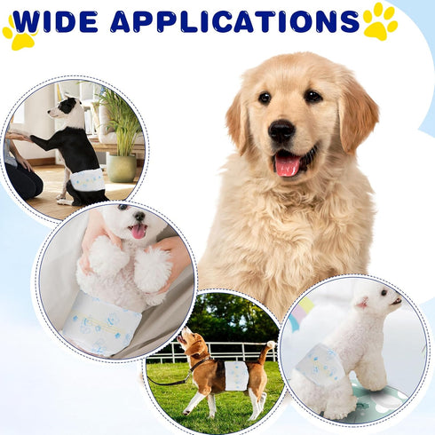 50 Count XPCARE Disposable Male Dog Diapers, Male Dog Wraps,Super Absorbent Leak-Proof Fit (Large)