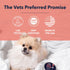 Vets Preferred Paw Balm Pad Protector for Dogs, Heals and Moisturizes Dry Noses and Paws, 2 Oz
