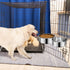 Dog Food Water Bowl with Clamp Holder, Stainless Steel Non-Spill Hanging Bowls for Small Medium Large Dogs (Silver, M)