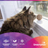 SmartyKat Catnip Toy, Compressed Catnip Ball for Indoor Cats & Kittens, Encourages Play, 5-Pack