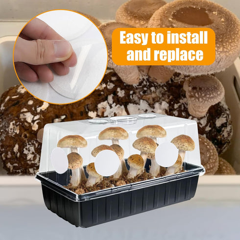 YINORD 12PCS 2.5in Replacements.(2mm (24PCS) Monotub Adhesive Filter Disks, Mushroom Monotub Filter Discs, Mushroom