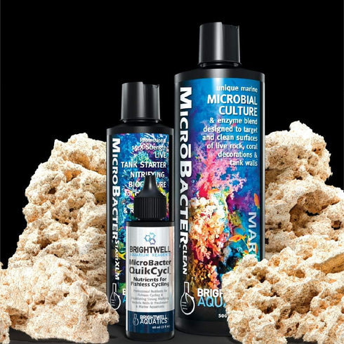 Brightwell Aquatics MicroBacter Dry Rock Bacteria Starter Kit for Aquariums