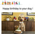 Unique Style Paws Birthday Dog Collar, Soft Cute Bow Tie, Adjustable Durable Collar for Large Dogs