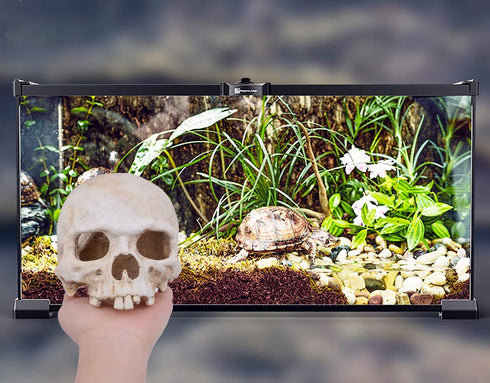 Aquarium Resin Skull for Aquarium Decoration and Reptile House Cave