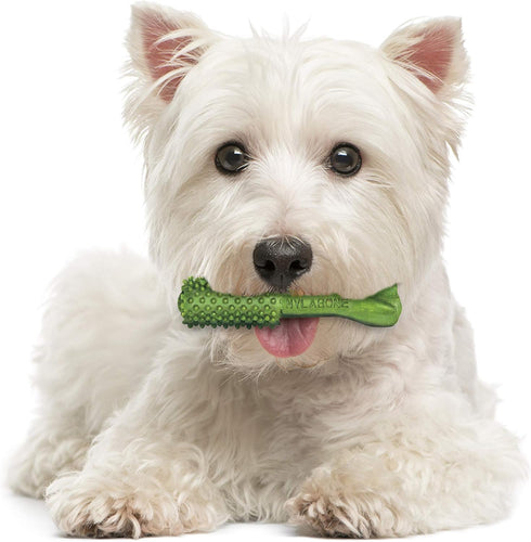 Nylabone Nutri Dent Dog Dental Chews, Natural Teeth Cleaning & Breath Freshener, Small (64 Count)