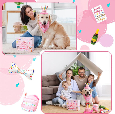 Vertintong 10 Set Pcs Dog Birthday Toy Dog Birthday Cake Bone Wine Bottle Hat Bib Ball Card Ribbon Plush Pet Gifts