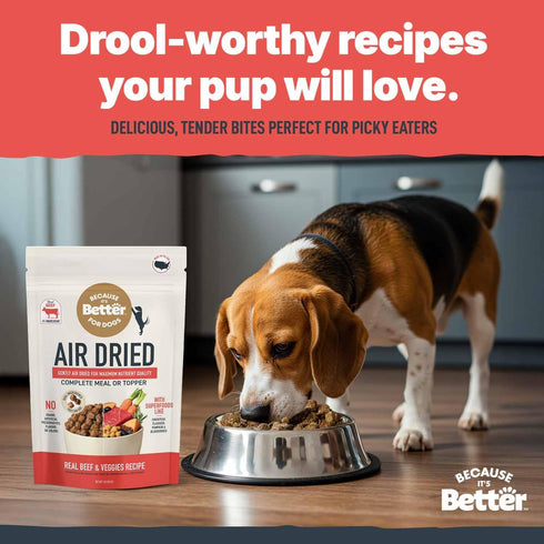 1 lb Because Its Better Slow Baked & Air Dried Dog Food - Real Beef & Veggies - Complete & Balanced Dry Dog Food