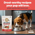 1 lb Because Its Better Slow Baked & Air Dried Dog Food - Real Beef & Veggies - Complete & Balanced Dry Dog Food