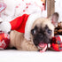 4 Pieces Cute Cat Dog Christmas Accessories, Santa Hat Scarf Bow Tie Collar Reindeer Antlers for Small Pets