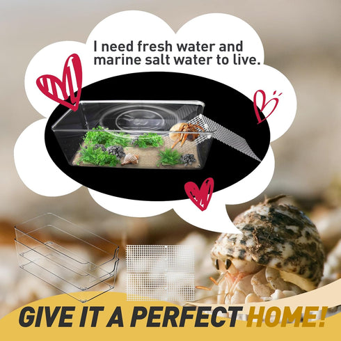Iffitya 2 Packs Large Hermit Crab Water Tank - Ideal Hermit Crab Pool and Tank Combination - Hermit Crab Water Tank
