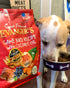 Evanger's Super Premium Gamebird Recipe with Coconut Oil Dry Food for Dogs