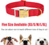Babole Nylon Dog Collars Red for Small Puppy Dog, Adjustable Soft Comfortable Pet Collars with Safety Metal Buckle for